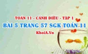 Bài 5 trang 57 SGK Toán 11 tập 1 Cánh Diều